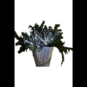 Bethlehem Lights 2-Pack Star Bursts with Remote Silver Wire